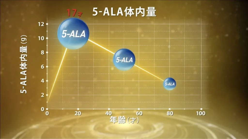 エネルギーを生み出す力＝基礎代謝は、年齢と共に低下していきます。